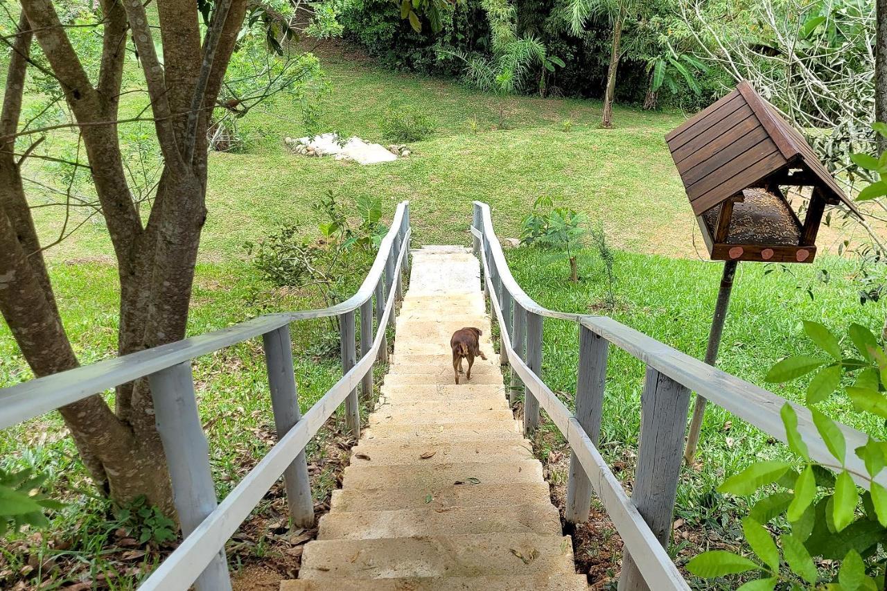 Recanto Dos Sabias - Chales Sao Bonifacio Sc Dış mekan fotoğraf